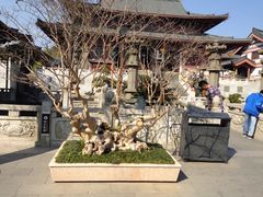 iphone_upload_pic-东部华侨城