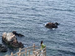-养马岛旅游度假区