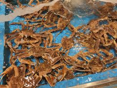 -蟹将军·松叶蟹和牛日料放题自助(K11店)