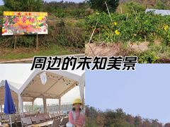 -青龙山国家森林公园