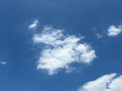 -稻香村鱼庄