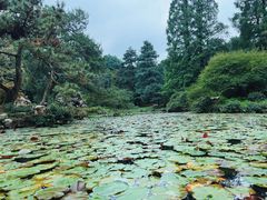 -杭州植物园