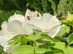 -白水寺森林公园