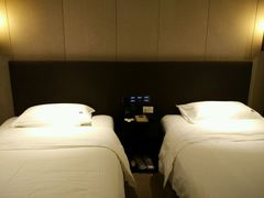 -成都峨眉雪芽大酒店