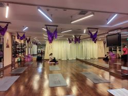 -皇冠瑜伽·普拉提·疼痛康复