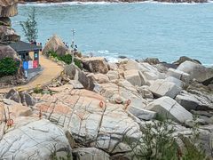 -广东惠东海龟国家级自然保护区