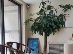 -宜华康盲人按摩(马连洼旗舰店)