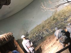 -台儿庄大战纪念馆