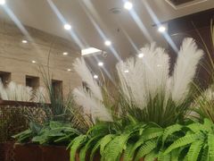 -红菜坊·烤鸭·川鲁宴(石园店)
