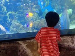 -烟台海昌鲸鲨海洋公园