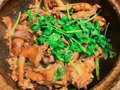 沙姜乳鸽-五邑人家(江门店)