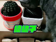 -星巴克(虹口运动loft店)