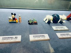 -张学良旧居陈列馆