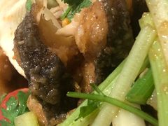 -老板恋上鱼(恒隆广场店)