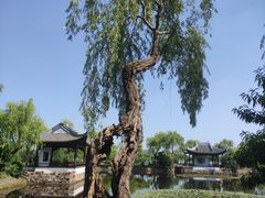 -无锡蠡湖国家湿地公园-蠡园