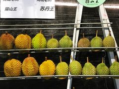 -都念榴莲·城市榴莲