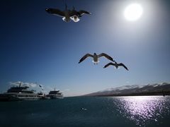 -青海湖国家重点风景名胜区