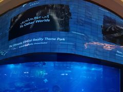 -迪拜水族馆及水下动物园