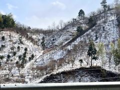 -四明山国家森林公园
