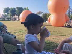 -前小桔亲子创意农场·草莓采摘·露营烧烤