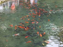 -水磨沟公园