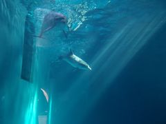 -蓬莱欧乐堡海洋极地世界