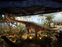 -陕西自然博物馆