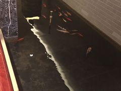 -西安阳光国际大酒店·中餐厅