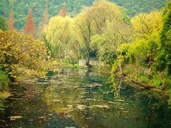 -贵阳市花溪国家城市湿地公园