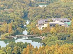 -九曜山