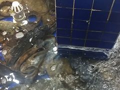 -船家渔(徐州北路店)