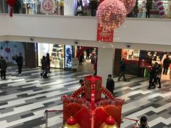 -百联临沂购物中心(临沂路店)