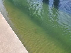 -上海浦东国际机场T1航站楼-P1停车场