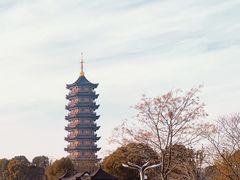 -葛仙湖公园