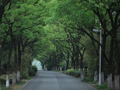 -白塘生态植物园