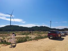 -汕尾风车岛