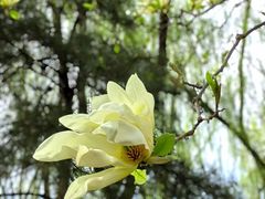 -大兴滨河森林公园