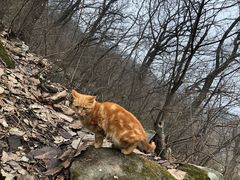 -终南山南五台景区