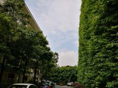 -三英温泉度假酒店-自助餐厅