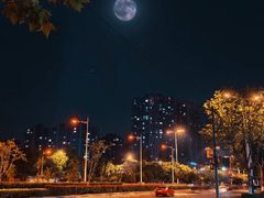 -手爱盲人推拿按摩·精准调理(江宁金山路店)