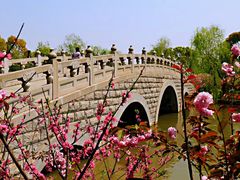 -南汇桃花村