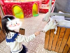 -上海大自然野生昆虫馆(东方明珠·爬宠昆虫探索中心)