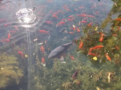 -水磨沟公园