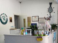 -中农国际动物医院24小时·猫科·骨科·急重症中心