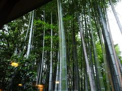 -新高轮格兰王子大饭店