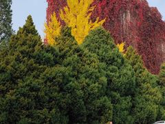 -辽宁大学(崇山校区)