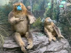 -国家自然博物馆