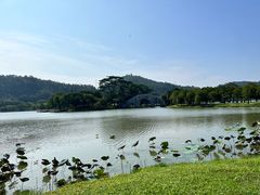 -顺峰山公园