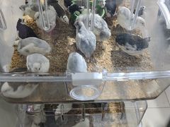 -三旗百汇商品城