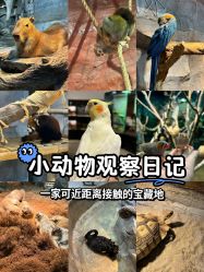 -Zoolung Zoolung动物主题公园(海信广场店)